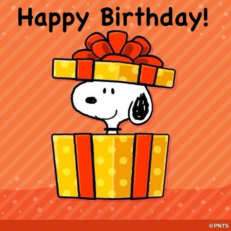 Snoopy Happy Birthday Wishes, Snoopy Birthday Wishes, Snoopy Birthday Quotes, Snoopy Birthday Images, Happy Birthday Dogs, Happy Birthday Snoopy, Happy Birthday Snoopy Images, Peanuts Happy Birthday, Happy Birthday Wishes Pics