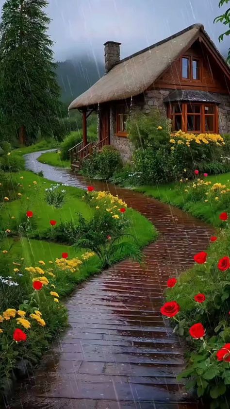 Sustainable Flowers, Tiny House Interior Design, Flower Garden Design, मोबाइल वॉलपेपर, Beautiful Images Nature, Beautiful Locations Nature, Nature Garden, Beautiful Places Nature, Beautiful Scenery Nature