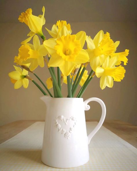 Jug Of Flowers, Vase Of Daffodils, Daffodils In Vase, Daffodil Arrangements, Grandma Painting, Welcome February, Favorite Flower, Simple Flowers, New Month