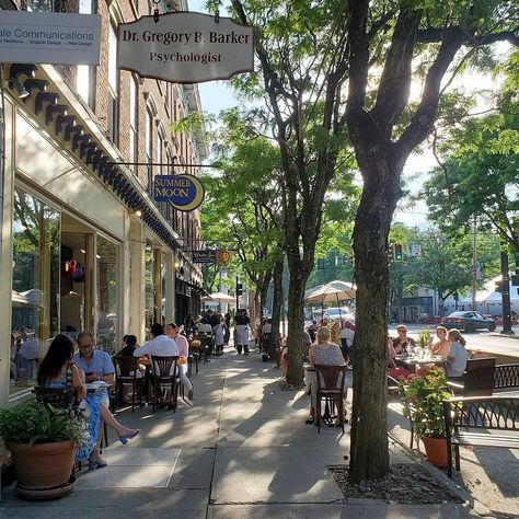 Nyack Ny, Rhinebeck New York, Rhinebeck Ny, New York Aesthetic, Fig Tree, Upstate New York, 2024 Vision, New York State, Vacation Ideas