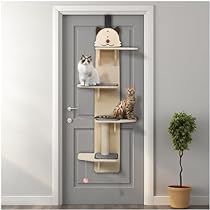 Cat Climber, Door Types, Cat Climbing Frame, Door Black, Cat Playground, Hanging Door, Cats Pet, Small Animal Supplies, Indoor Cats