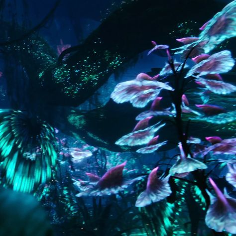 Bioluminescence Avatar, Avatar Bioluminescence, Bioluminescence Plants, Bioluminescent Aesthetic, Bioluminescence Mermaid, Bioluminescent Alien, Avatar Visualization, Bioluminescence Creatures, Bioluminescent Ocean