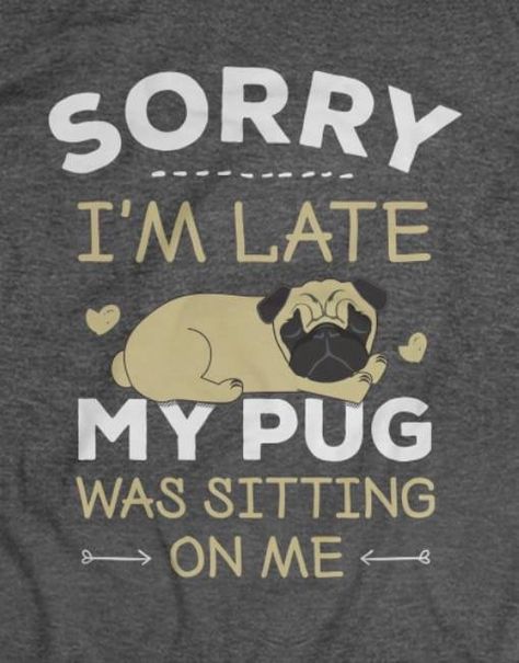 Dogs Love Quotes, National Pug Day, Pug Quotes, Black Pug Puppies, Dog Quotes Love, Pugs And Kisses, Baby Pugs, Pug Pictures, Pug Art