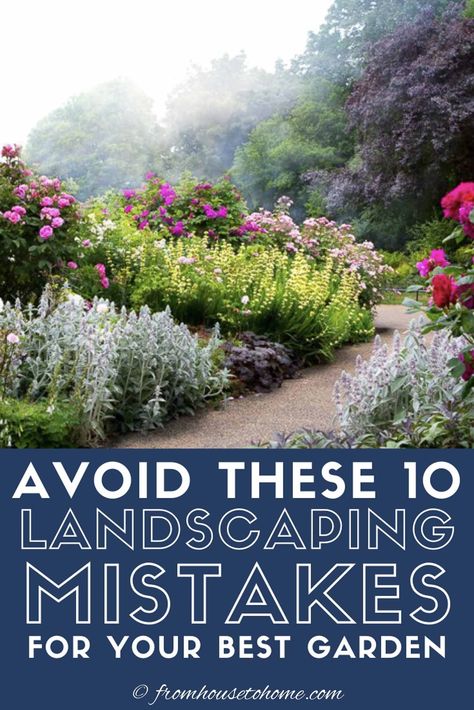 Learn which landscaping mistakes to avoid. Whether you're a beginning gardener or a seasoned pro, these tips for preventing gardening mistakes will help you create your best garden ever. #fromhousetohome #gardeningtips #gardening #gardenideas #gardeningmistakes Pnw Garden, Pacific Northwest Garden, Northwest Flowers, Northwest Garden, Northwest Landscaping, Natural Landscaping, French Country Garden, Luxury Garden, Landscaping Tips