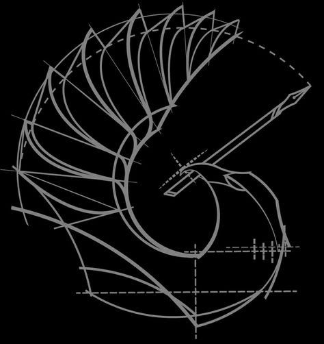 Vector Illustration : An Eagle Mark of Yonsei Dept. of Architecture / Designed by Yun Junha / 20150927 Eagle Architecture Concept, Interior Architecture Sketch, Cycling City, Eagle Wings, Building Concept, Bird Wings, Eagle Design, Architecture Design Concept, An Eagle