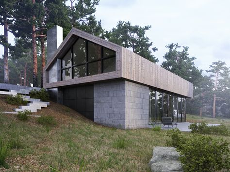 Forest House on Behance Gable House, Residential Landscape, Hillside House, Architecture Modern, Modern Barn House, Casa Container, Modern Barn, Modern Cabin, Eco House