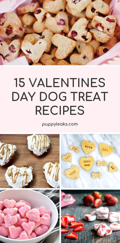 Looking for a simple way to treat your dog on Valentine's Day? My favorite way to make my dog feel special on holidays is by making her some homemade dog treats, and Valentine's Day is no exception. From gluten free dog treats to frozen options, here's 15 of my favorite Valentine's Day dog treat recipes.  via @puppyleaks Dog Treats Recipes, Recipes For Dogs, Gluten Free Dog Treats, Homemade Dog Cookies, Valentine Dog, Dog Biscuit Recipes, Easy Dog Treats, Dog Treats Homemade Recipes, Valentines Day Dog