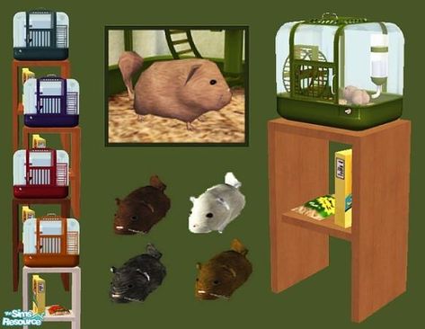 PureElements' Chinchilla Pet Set Sims 4 Pets Mod, Sims 2 Pets, Chinchilla Pet, Sims 2 Hair, Big Ears, Sims 1, Irish Setter, Little Critter, Sims Mods