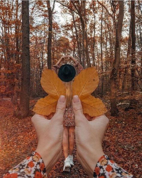 friend photos, winter photoshoot, fall photoshoot, fall aesthetic wallpaper Ideas For Taking Pictures, Autumn Photography Portrait, Easy Photography Ideas, Fall Shoot, Fall Frames, Pumpkin Painting Ideas, Travel Pictures Poses, Creative Photography Techniques, Shadow Photos