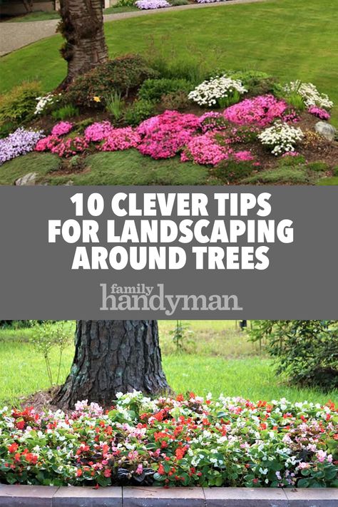 10 Clever Tips for Landscaping Around Trees Around Trees Landscaping, Trees Landscaping, Shade Landscaping, Plants Under Trees, Landscaping Around Trees, Landscaping Trees, Shade Garden Plants, Landscaping With Boulders, Rock Landscaping