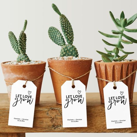 Wedding Favor Plants, Let Love Grow Bridal Shower Favors, Watch Our Love Grow Favors, Let Love Grow Wedding Favors, Let Love Grow Favors, Mini Plant Wedding Favors, Wedding Table Deco, Plants Wedding, Let Love Grow