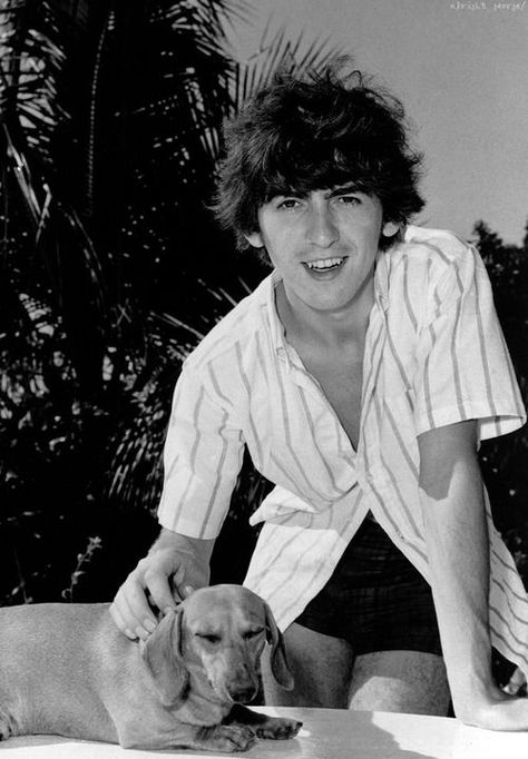 Beatles George, Weenie Dogs, I'm With The Band, Dachshund Lovers, Dachshund Love, Weiner Dog, Ringo Starr, Wiener Dog, George Harrison