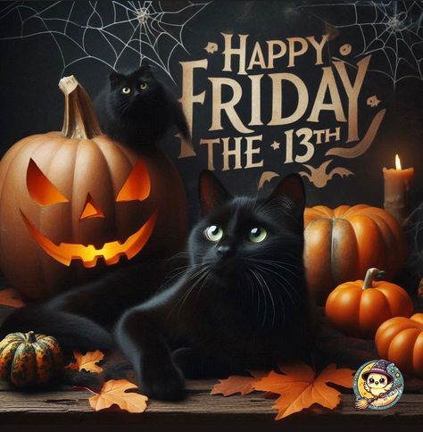 🎃🎃🎃 National Black Cat Day, Black Cat Day, Happy Friday The 13th, Friday The 13th, Cat Day, Happy Friday, Black Cat, Pins, Black