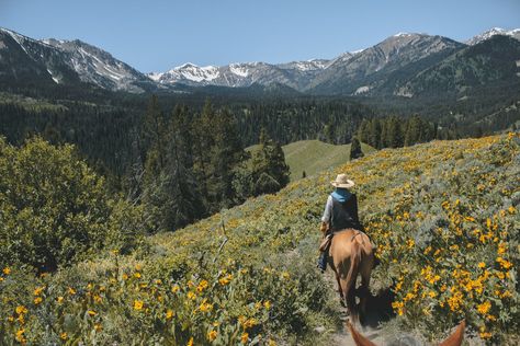 Horseback Riding Trails, Trail Ride, Horse Trail, Last Ride, Mountain Bike Trails, Pacific Coast Highway, Trail Riding, Florida Keys, Yellowstone National Park