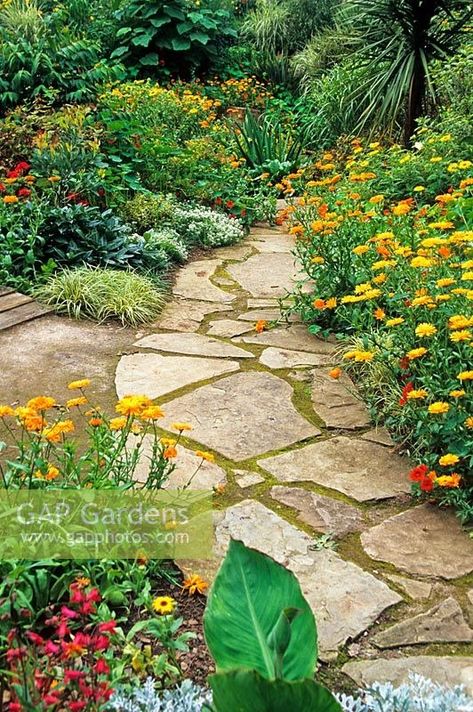 Crazy paving path bordered with Calendula 'Orange King' - Dewstow Garden and Grottoes, Caewent, Monmouthshire, wales Crazy Paving Ideas, Backyard Path, Rustic Homestead, Stone Paths, Paving Ideas, Crazy Paving, Dreamy Garden, Indian Corn, Budget Garden