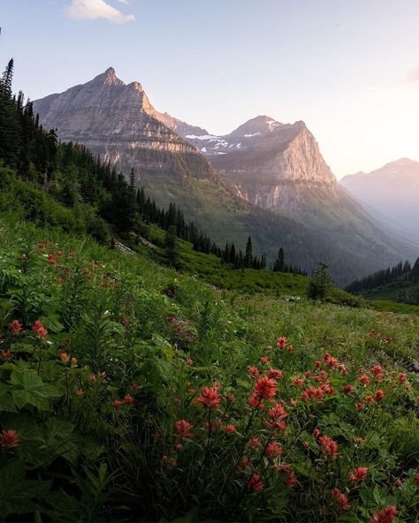 Glacier National Park. ⛰️🍃 Photos by @ajetravels #takemoreadventures #montana #glaciernationalpark #visit ontana #exploremontana #nationalpark #spring #stayandwander #awakethesoul #adventure #mountains #outdoors #earthfocus #moodygram #hikingadventures #folkscenery #wilderness #beautifuldestinations Montana Spring, More Adventures, National Park Photos, G Adventures, Park Photos, Glacier National, Glacier National Park, Beautiful Destinations, Beautiful Nature