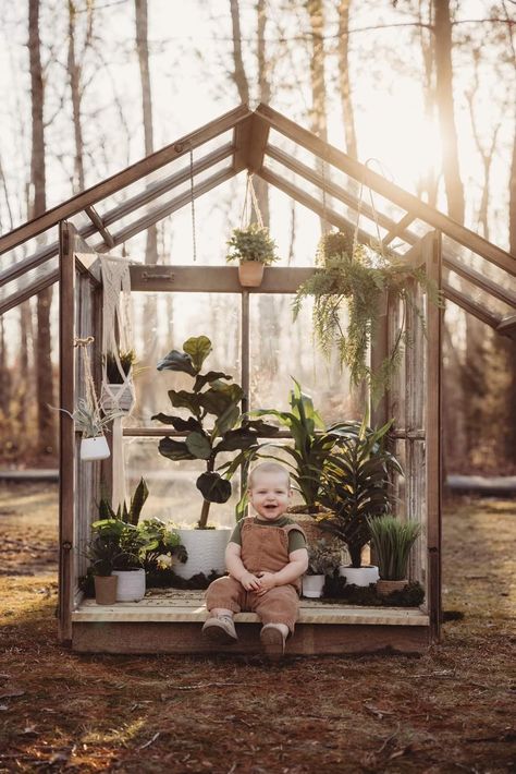 Large Galvanized Tub Ideas, Backyard Photo Studio, Spring Greenhouse Photoshoot, Backyard Photography Studio, Greenhouse Minis Photography, Backyard Photoshoot, Greenhouse Photography, Spring Mini Session, Mini Session Ideas