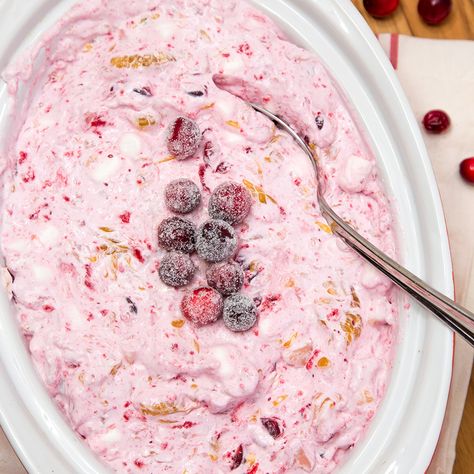 This Cranberry Fluff Salad is the perfect side dish or dessert for the holidays! @Anolon #ad Cranberry Fluff Salad, Fluff Recipes, Cranberry Jello Salad, Cranberry Fluff, Fresh Cranberry Sauce, Jello Salads, Fluff Salad, Best Thanksgiving Side Dishes, Grandma's Recipes