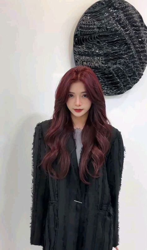 Asian With Dark Red Hair, Deep Cherry Red Hair Burgundy, Red Hair Asian, Asian Red Hair, Redhead Hair Color, Make Up Color, Peekaboo Hair Colors, Hair Color Asian, Korean Hair Color