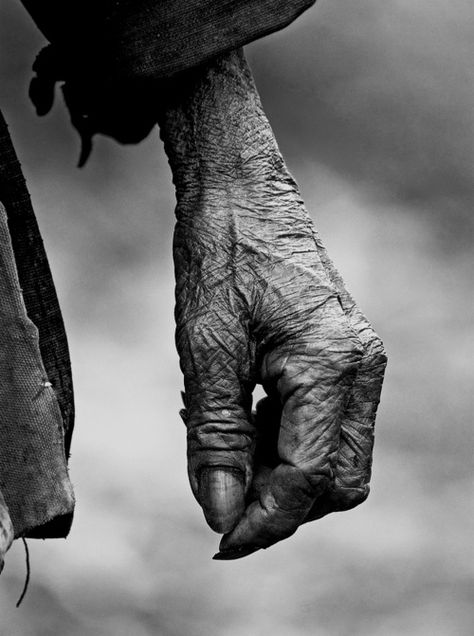 . Hands Of Time, Show Of Hands, Working Hands, Old Person, Old Hands, Hold My Hand, Tell A Story, Foto Art, Old Age