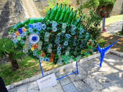 " The Trapped Fish " ( Kotor Art / Gimnazija Kotor ), Bay of Kotor, Montenegro, Nikon Coolpix B700, 4.3mm, 1/1250s(fix), ISO500, f/3.3, HDR photography, 2019.08.01.11:06 #Kotor #Kotorbay Plastic Bottle Sculpture, Bottle Sculpture, Long Artwork, Underwater Room, Reuse Crafts, Recycle Sculpture, Waste Art, Recycled Decor, Ocean Projects