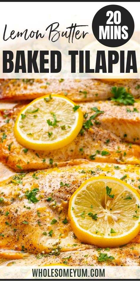 Lemon Butter Baked Tilapia Recipe Ways To Make Tilapia, Sheet Pan Tilapia Recipes, How Long To Bake Tilapia, Cilantro Lime Tilapia Baked, Oven Talipia, Quick And Easy Tilapia Recipes, Lemon Tilapia Baked, Easy Tilapia Dinner Recipes, Backed Tilapia Oven Baked