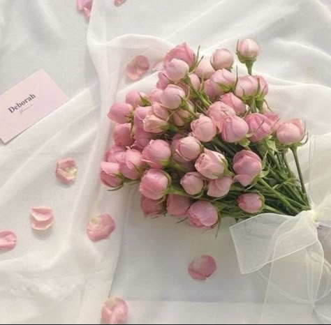 Wallpers Pink, Soft Pink Theme, Baby Pink Aesthetic, Pastel Pink Aesthetic, Flower Therapy, Pink And White Flowers, Pink Vibes, Pink Themes, Spring Aesthetic