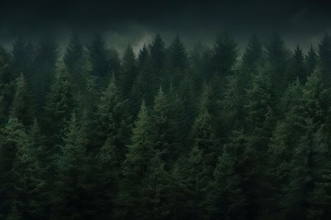 Deep pine forest background backgrounds outdoors woodland. | free image by rawpixel.com / PLOYPLOY Dark Forest Wallpaper Desktop, Dark Green Desktop Wallpaper, Forest Desktop Wallpaper, Dark Forest Background, Christmas Desktop Wallpaper, Christmas Desktop, Conifer Trees, Webdesign Inspiration, Forest Background