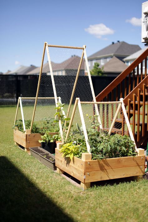 Wine Box Garden, Diy Garden Bar, Garden Box Plans, Trellis Diy, Garden Boxes Diy, Fairytale Garden, Diy Garden Bed, Diy Trellis, Garden Solutions