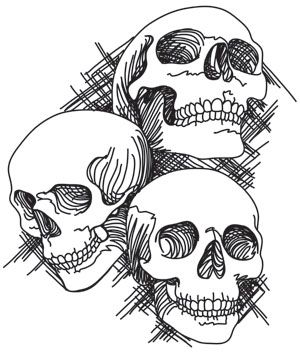 Embroidery Designs Sketch, Tattoo Designs Drawings, Skull Stencil, New Tattoo Designs, New Embroidery Designs, Skull Art Drawing, Skulls Drawing, Urban Threads, Skull Artwork