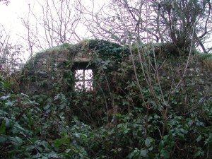 Remains of Biddy Early's cottage-1. Irish Myths, Irish Witch, Bog Witch, Garden Lunch, Swamp Witch, Creepy Houses, Irish Women, Fantasy Stuff, Wiccan Spell Book