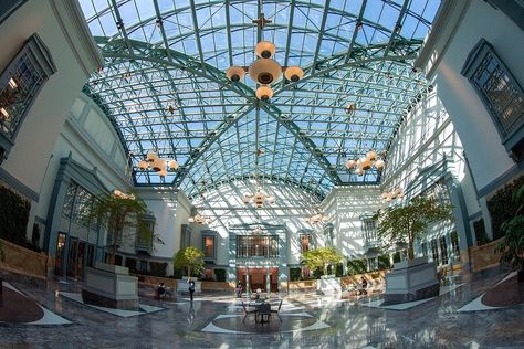 Harold Washington Library Center - All You Need to Know BEFORE You Go (2024) Harold Washington Library, Old Places, Chicago Athletic Association, Best Christmas Books, Chicago Cultural Center, Library Center, Chicago Winter, Need A Change, Modern Library