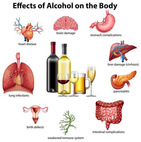 Alcohol Effects, Effects Of Drinking Alcohol, Alcohol Side Effects, Body Illustration, Lung Infection, Effects Of Alcohol, Brain Damage, Cause And Effect, Lesson Plan