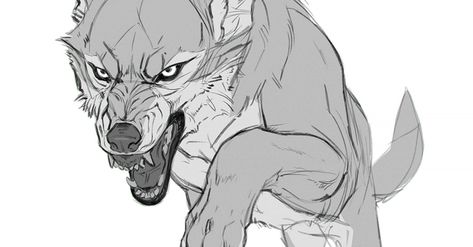 Jumping Wolf, Wolf Jumping, Wolf Poses, Wolf Sketch, Canine Drawing, Werewolf Art, 강아지 그림, Canine Art, Wolf Drawing