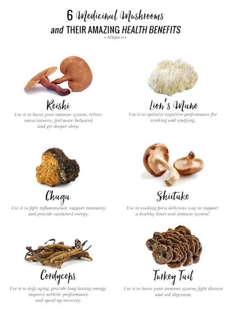 Benefits Of Mushrooms, Types Of Mushrooms, Health Benefits Of Mushrooms, Calendula Benefits, Matcha Benefits, Coconut Health Benefits, Stomach Ulcers, Holistic Nutritionist, Benefits Of Coconut Oil