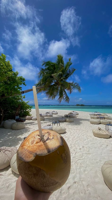 Coconut At The Beach, Coconut On Beach, Fiji Aesthetic, Wallpapers Summer, Fiji Vacation, Fiji Beach, Coconut Drink, Maldives Vacation, Beach Coconut