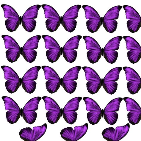 Printable good for a butterfly bouquet and some stickers!! Purple Butterfly Printable, Butterfly Stickers Printable, Butterfly Bouquet, Frames Design Graphic, Subject Labels, Frames Design, Butterfly Printable, Flower Gift Ideas, Purple Butterfly