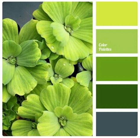 Pallets Color, In Color Balance, Yellow Color Combinations, Palettes Color, Combination Color, Green Color Combinations, Color Palette Ideas, Chartreuse Color, Palette Ideas