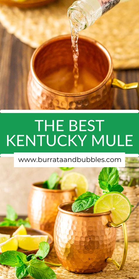 Whiskey Moscow Mule Recipe, Whiskey Mule Recipe, Bourbon Mule Recipe, Bourbon Mule, Ginger Beer Drinks, Bourbon Drinks Recipes, Kentucky Mule, Mule Drink, Ginger Beer Cocktail