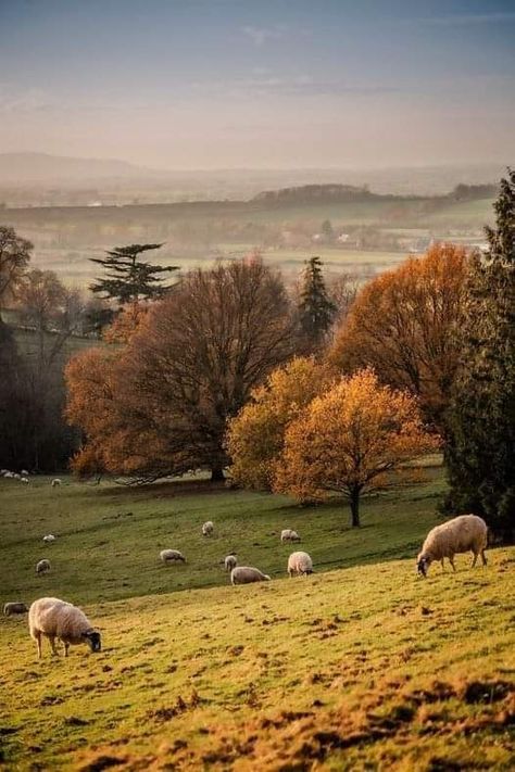 English Countryside Aesthetic, Welsh Countryside, England Aesthetic, England Countryside, Countryside Landscape, Scenery Pictures, Landscape Photography Nature, Country Scenes, English Countryside