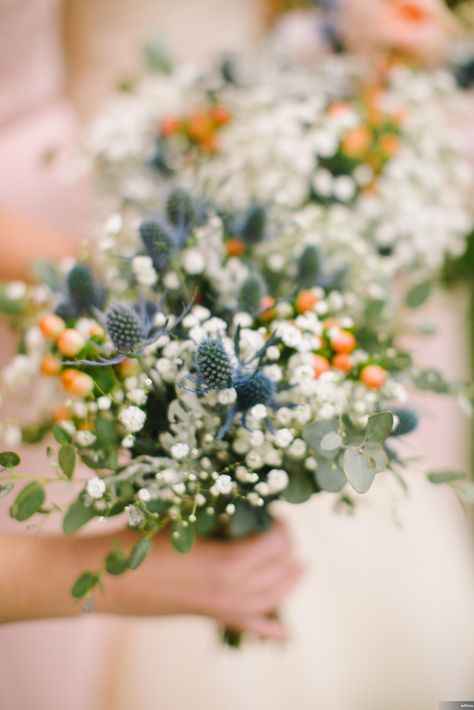 Wildflower bouquets - blue thistle - baby's breath - gunni eucalyptus - hypericum berries  www.lisafosterdesign.com  Photography: JoPhoto Gunni Eucalyptus, Thistle Bouquet, Small Bridal Bouquets, Chestnut Springs, Bridal Bouquet Blue, Blue Thistle, Eucalyptus Bouquet, Bridesmaids Bouquet, Flora Design