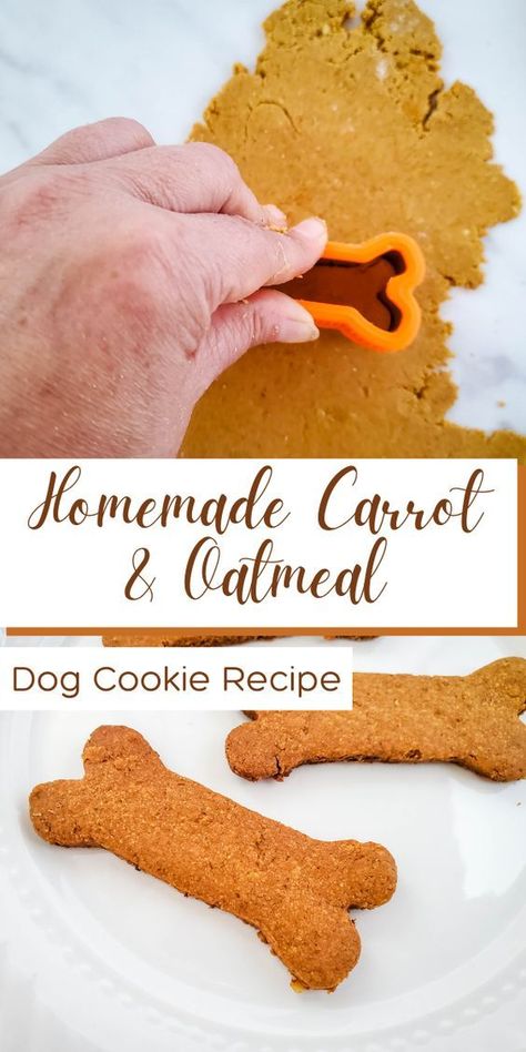 These simple homemade dog treats are loaded with your pup’s favorite ingredients — carrots, peanut butter, and oats. Try my carrot-cake-inspired dog biscuit recipe and give your fur babies a yummy and healthy treat they deserve. Oat Flour Dog Treats, Yogurt Dog Treats Recipes, Dog Treats Homemade Peanut Butter, Carrots And Peanut Butter, Dog Biscuit Recipe, Peanut Butter And Oats, 3 Ingredient Dog Treats, Healthy Dog Biscuits, No Bake Dog Treats