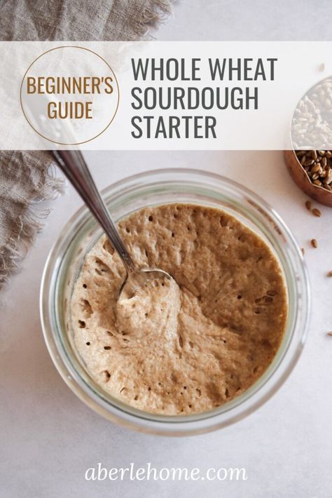 Bake Sourdough Bread, Whole Wheat Sourdough, Prebiotic Foods, Yeast Starter, Dough Starter, Sourdough Bread Starter, Bread Starter, Sourdough Starter Recipe, Sourdough Baking