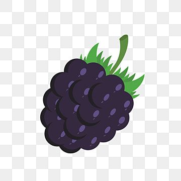 Blackberry Drawing, Blackberry Vodka, Healthy Food Fruit, Blackberry Fruit, Milk Splash, Snack Healthy, Fruit Cartoon, Food Vector, Fruit Vector