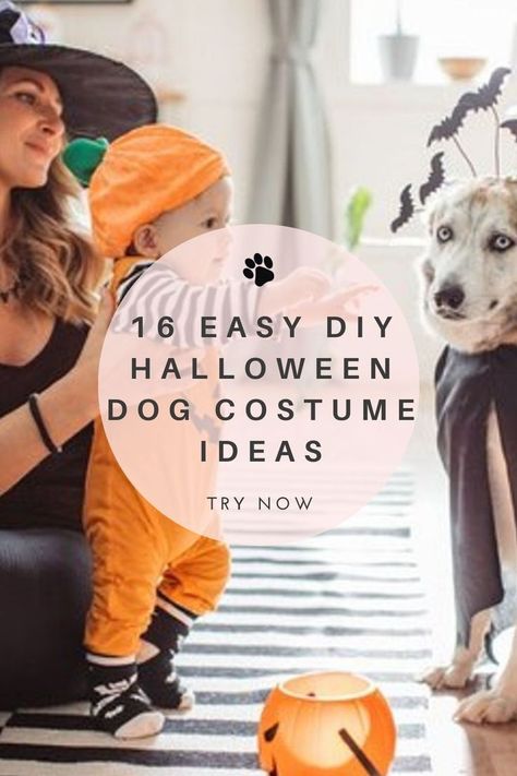 From a fanstastic article in Daily Paws on 16 easy DIY Halloween Dog Costume ideas. You can even make your own Halloween accessories to complete the Howloween aesthetic, such as scary Halloween pumpkin faces. You could even throw your own Halloween dog party (invite the dog moms and dog dads too, of course). #howloween #happyhalloween2021 #halloweenpumpkin #halloweendogcostume #halloweendogs #halloweendog Diy Pet Costumes Dogs, Dog Party Invite, Diy Dog Costume, Halloween Pumpkin Faces, Dog Costume Ideas, Diy Pet Costumes, Scary Spiders, Puppy Halloween Costumes, Halloween Dog Costume