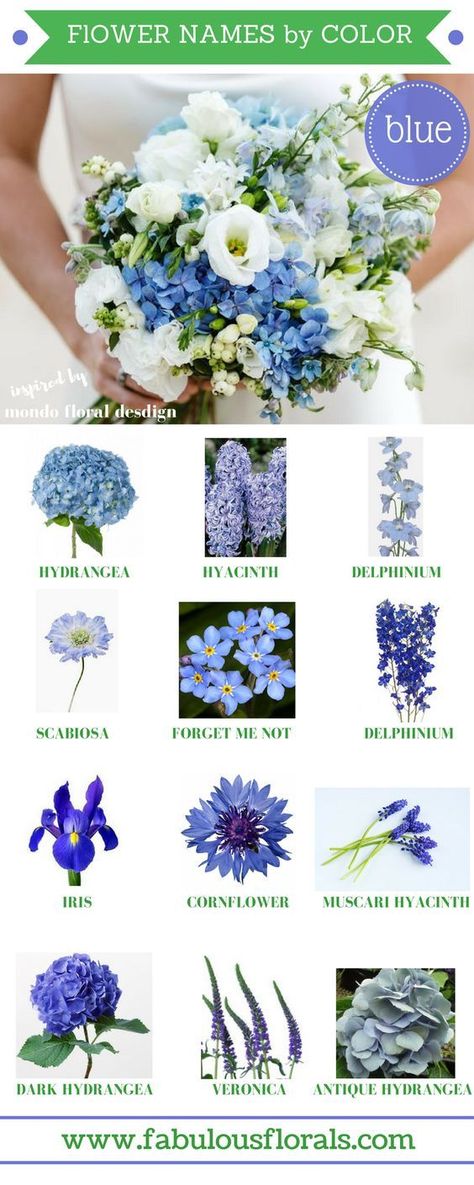 Antique Hydrangea, Blue And White Flowers, Flower Guide, Something Blue Wedding, Blue Wedding Flowers, Blue Themed Wedding, Blue Bouquet, Blue Wedding Dresses, Diy Wedding Flowers