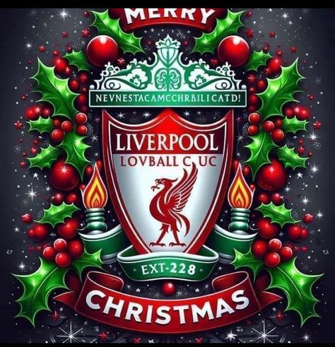 Mr Bean Birthday, Liverpool Christmas, Liverpool Fc Tattoo, Lfc Wallpaper, Liverpool Fc Logo, Liverpool Fc Team, Liverpool Football Club Wallpapers, Liverpool Soccer, Liverpool Wallpapers