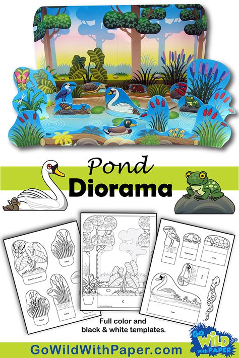 Tundra Diorama, Animal Habitat Diorama, Animal Habitat Activities, Habitat Diorama, Pond Habitat, Diy Diorama, Arctic Habitat, Habitat Activities, Biomes Project