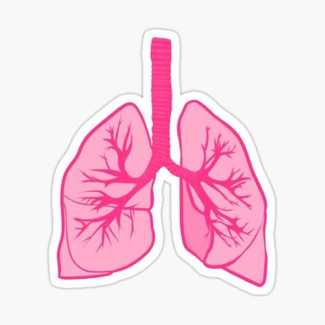 Respiratory System Aesthetic, Lungs Illustration, Illustration Anatomy, Medical Stickers, Human Lungs, Dentistry Student, Medical Wallpaper, Nurse Art, Science Stickers