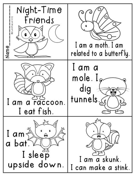 Animal Worksheets Kindergarten, Nocturnal Animals Kindergarten, Nocturnal Animals Activities, Forest Animals Preschool, Diurnal Animals, Animal Lessons, The Kissing Hand, Worksheets Kindergarten, Animal Worksheets